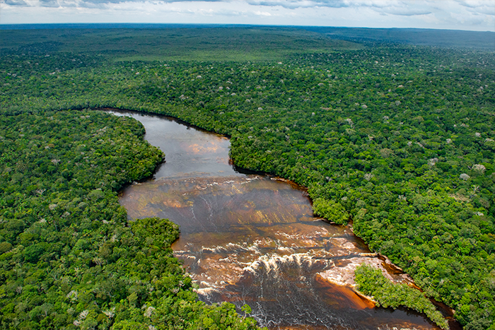 El antropólogo que descubrió un tesoro en la Amazonía: Chiribiquete